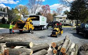 Best Emergency Tree Removal  in Coopersburg, PA